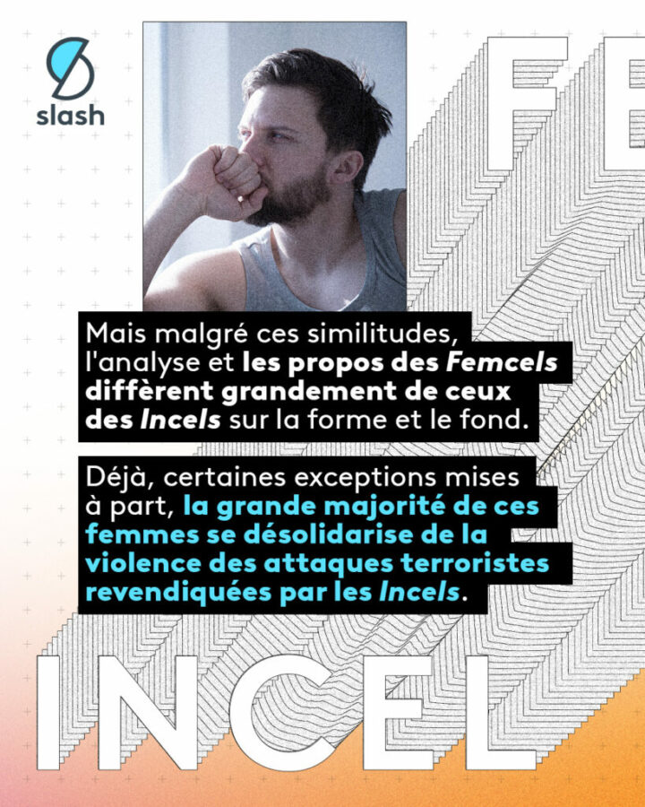 France TV Slash infog FEMCEL